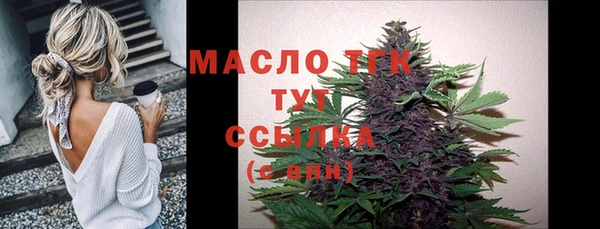 индика Пролетарск