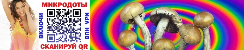 Псилоцибиновые грибы Psilocybe  МЕГА рабочий сайт  shop как зайти  наркота  Спасск-Рязанский 